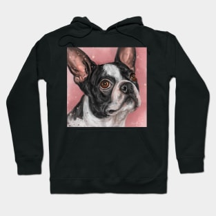 Contemporary Painting of a Cute Boston Terrier on Pink Background Hoodie